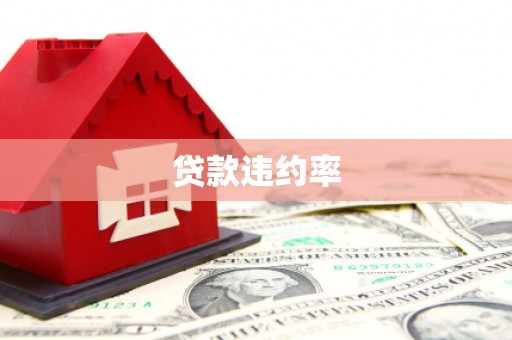 肥乡贷款违约率