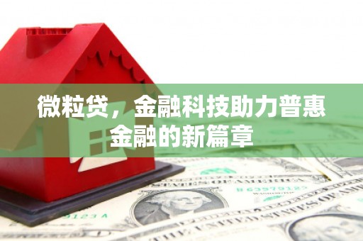 东方微粒贷，金融科技助力普惠金融的新篇章