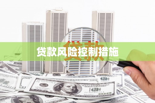 正阳贷款风险控制措施