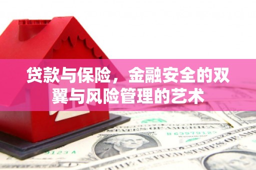 洛扎贷款与保险，金融安全的双翼与风险管理的艺术