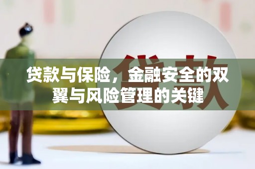 贞丰贷款与保险，金融安全的双翼与风险管理的关键