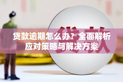 洪雅贷款逾期怎么办？全面解析应对策略与解决方案