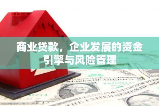 苏家屯商业贷款，企业发展的资金引擎与风险管理