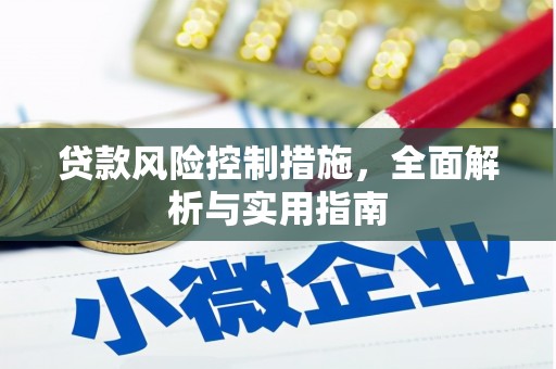 定安贷款风险控制措施，全面解析与实用指南