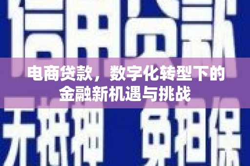 稻城电商贷款，数字化转型下的金融新机遇与挑战