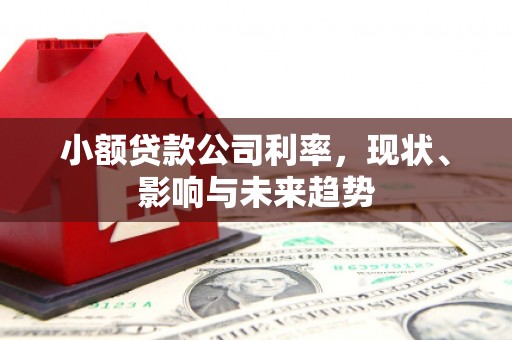 长葛小额贷款公司利率，现状、影响与未来趋势