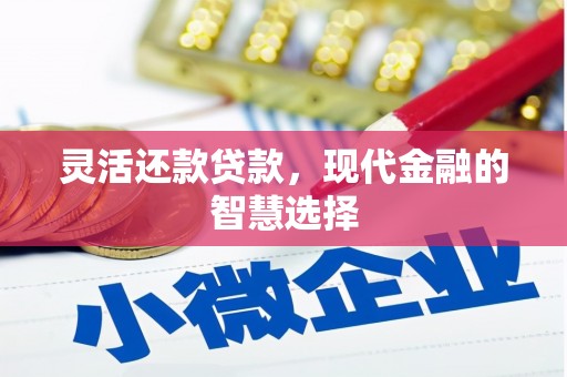 美溪灵活还款贷款，现代金融的智慧选择