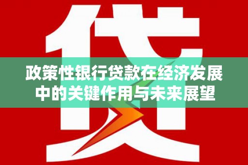 海原政策性银行贷款在经济发展中的关键作用与未来展望