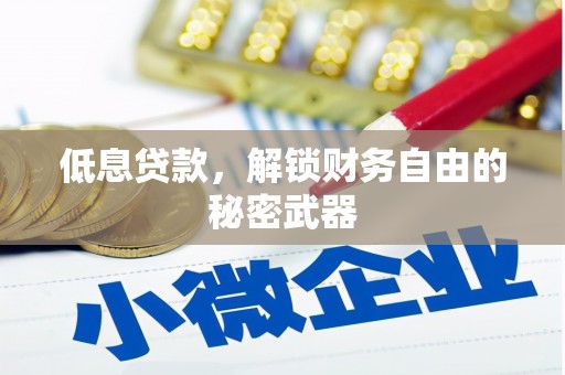 环江低息贷款，解锁财务自由的秘密武器