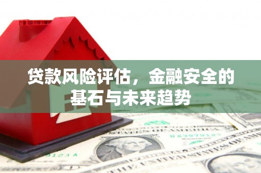 来宾贷款风险评估，金融安全的基石与未来趋势
