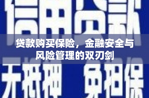 广汉贷款购买保险，金融安全与风险管理的双刃剑
