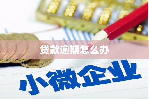 宝山贷款逾期怎么办