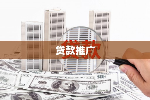 芦淞贷款推广