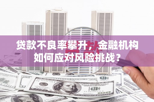 丽水贷款不良率攀升，金融机构如何应对风险挑战？