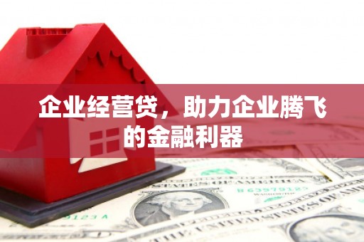琼中企业经营贷，助力企业腾飞的金融利器