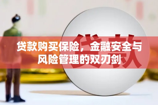 圣方济各堂区贷款购买保险，金融安全与风险管理的双刃剑