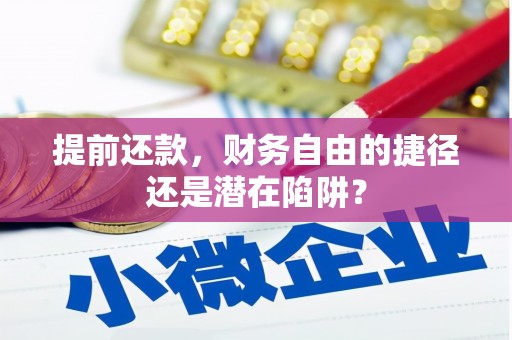 兰西提前还款，财务自由的捷径还是潜在陷阱？