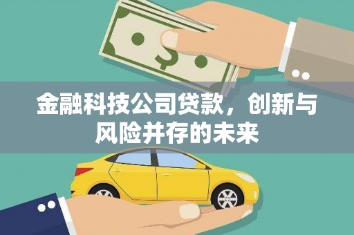 宣化金融科技公司贷款，创新与风险并存的未来