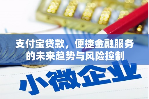 海东支付宝贷款，便捷金融服务的未来趋势与风险控制