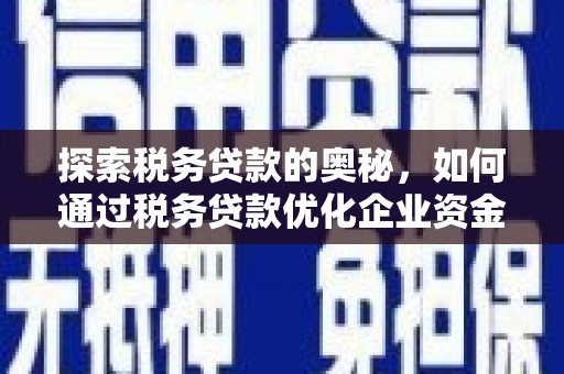 曲麻莱探索税务贷款的奥秘，如何通过税务贷款优化企业资金流
