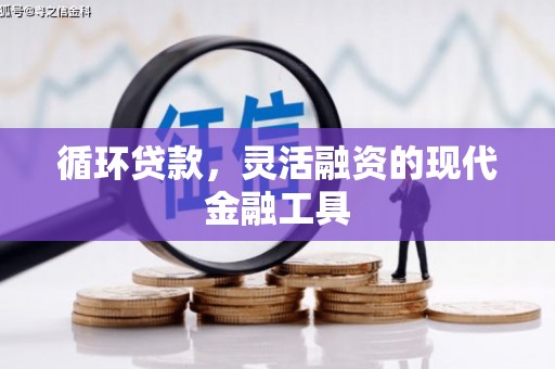 利辛循环贷款，灵活融资的现代金融工具
