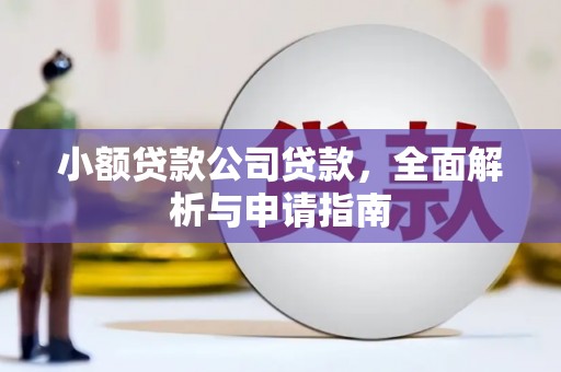 阜新小额贷款公司贷款，全面解析与申请指南