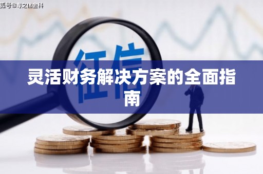凤城灵活财务解决方案的全面指南