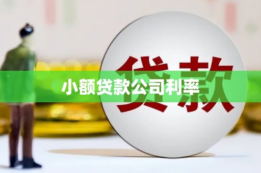 丰原小额贷款公司利率