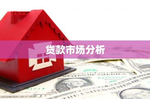 长白贷款市场分析