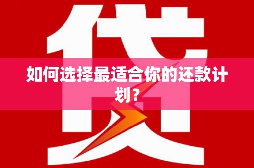 三穗如何选择最适合你的还款计划？