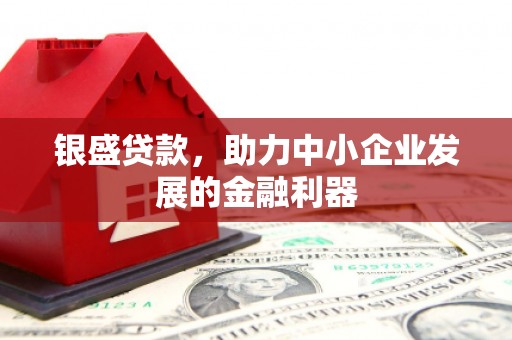 花莲银盛贷款，助力中小企业发展的金融利器