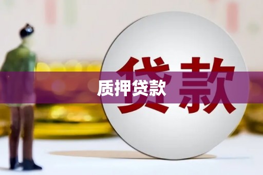 光泽质押贷款