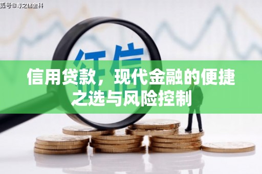 金峰信用贷款，现代金融的便捷之选与风险控制