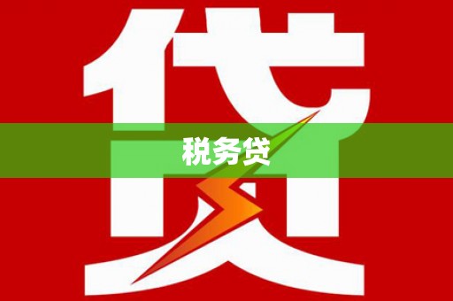 贵州税务贷