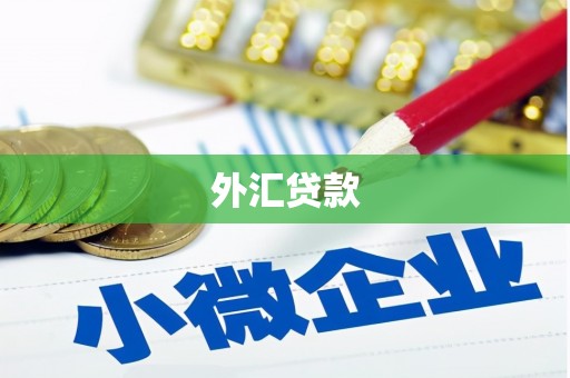 凤凰外汇贷款