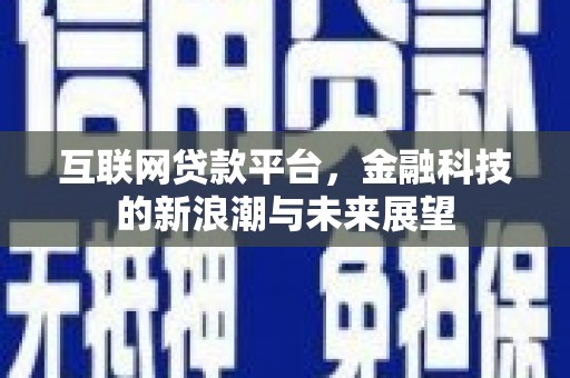定兴互联网贷款平台，金融科技的新浪潮与未来展望