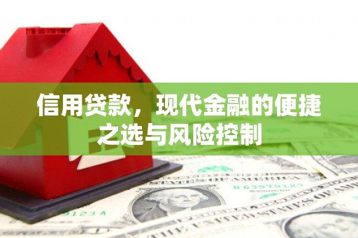 巴青信用贷款，现代金融的便捷之选与风险控制