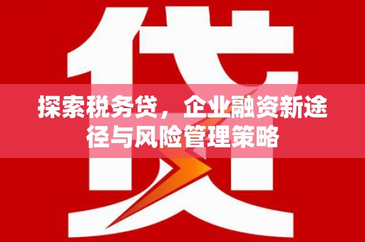 弥陀探索税务贷，企业融资新途径与风险管理策略