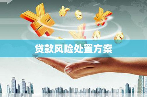 修武贷款风险处置方案