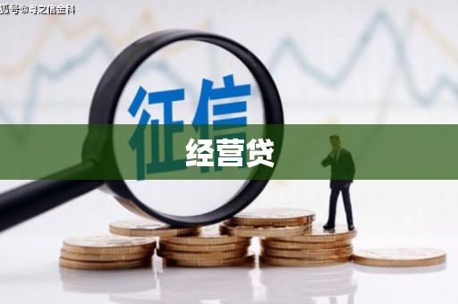 罗城经营贷