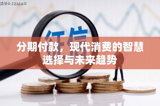 镜湖分期付款，现代消费的智慧选择与未来趋势