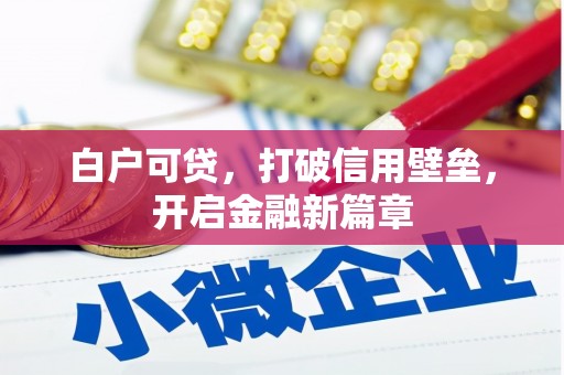 肥西白户可贷，打破信用壁垒，开启金融新篇章