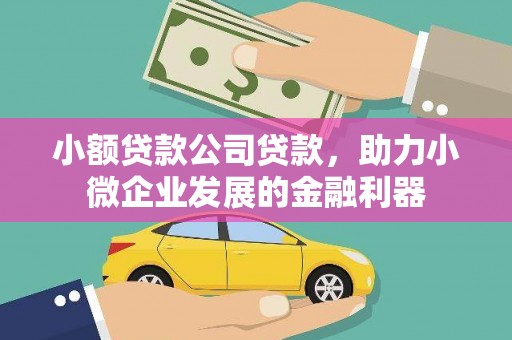 德惠小额贷款公司贷款，助力小微企业发展的金融利器