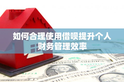 鄂尔多斯如何合理使用借呗提升个人财务管理效率