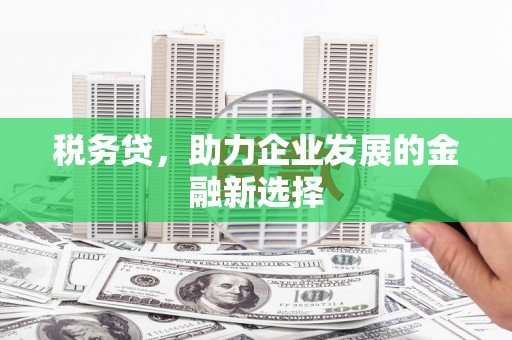 涵江税务贷，助力企业发展的金融新选择