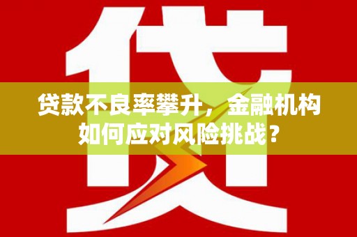 连山贷款不良率攀升，金融机构如何应对风险挑战？