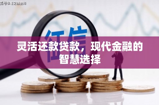 中卫灵活还款贷款，现代金融的智慧选择