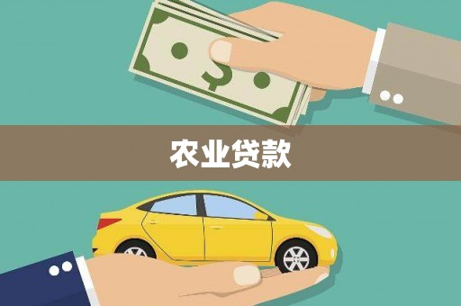 南州农业贷款