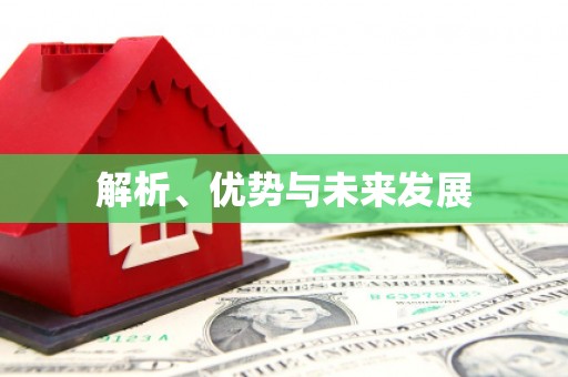 大宁解析、优势与未来发展