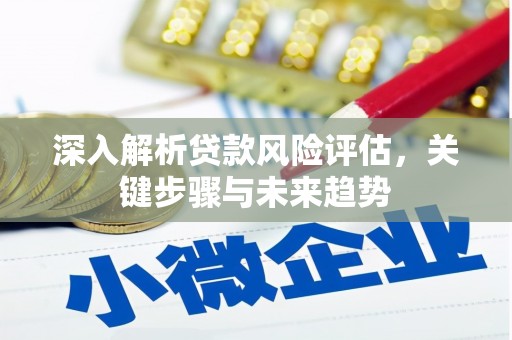 三芝深入解析贷款风险评估，关键步骤与未来趋势